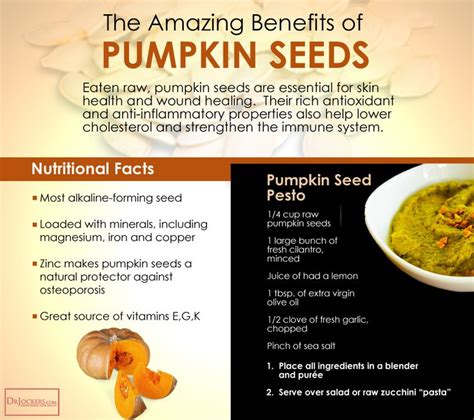 Mqgic Pumpkin Seeds: A Vegan Protein Powerhouse